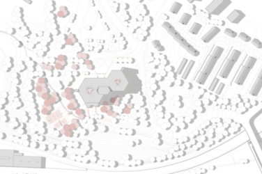 Ein topografischer Lageplan zeigt das Gebäudeensemble inmitten dichter Baumstrukturen mit Höhenlinien. Markierte Bereiche und Wegeverläufe heben die geplanten Eingriffe hervor.