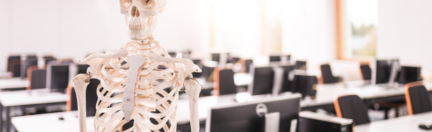 Photo of an artificial skeleton on a stand that can be seen up to the hip. In the background is the medical informatics computer room.