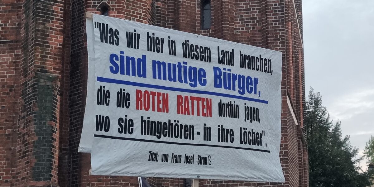 Plakat auf einer Kundgebung der AfD in Cottbus