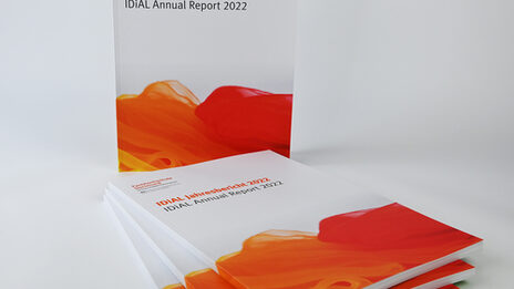 Illustration of 4 brochures, standing and lying, with the title IDiAL Annual Report 2022 and a wavy orange and red motif.