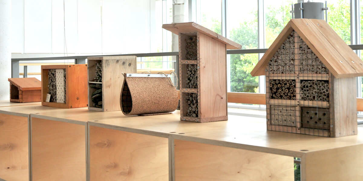 Reihe von unterschiedlich gestalteten Insektenhotels aus Holz und Naturmaterialien, ausgestellt auf einem Holzregal in einem hellen, modernen Innenraum mit großen Fenstern.