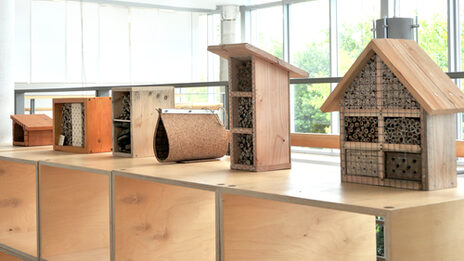 A series of differently designed insect hotels made of wood and natural materials, displayed on a wooden shelf in a bright, modern interior with large windows.
