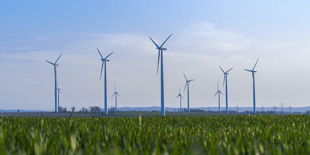 Wind turbines stand on a green field