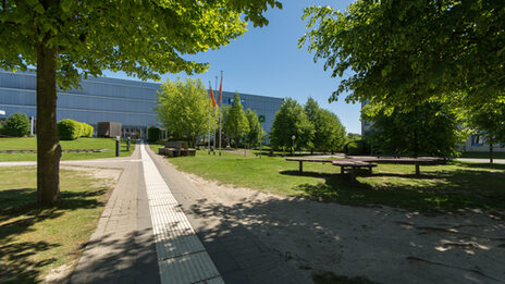 Photo of the walkway with guidance system for the blind leading to the Faculty of Architecture building. To the left and right of the walkway are meadows with trees and seating.